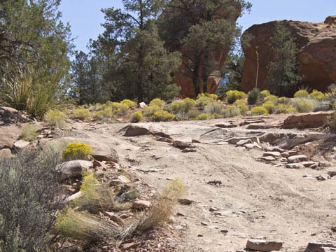 local road improvements- make a tire ramp with rocks